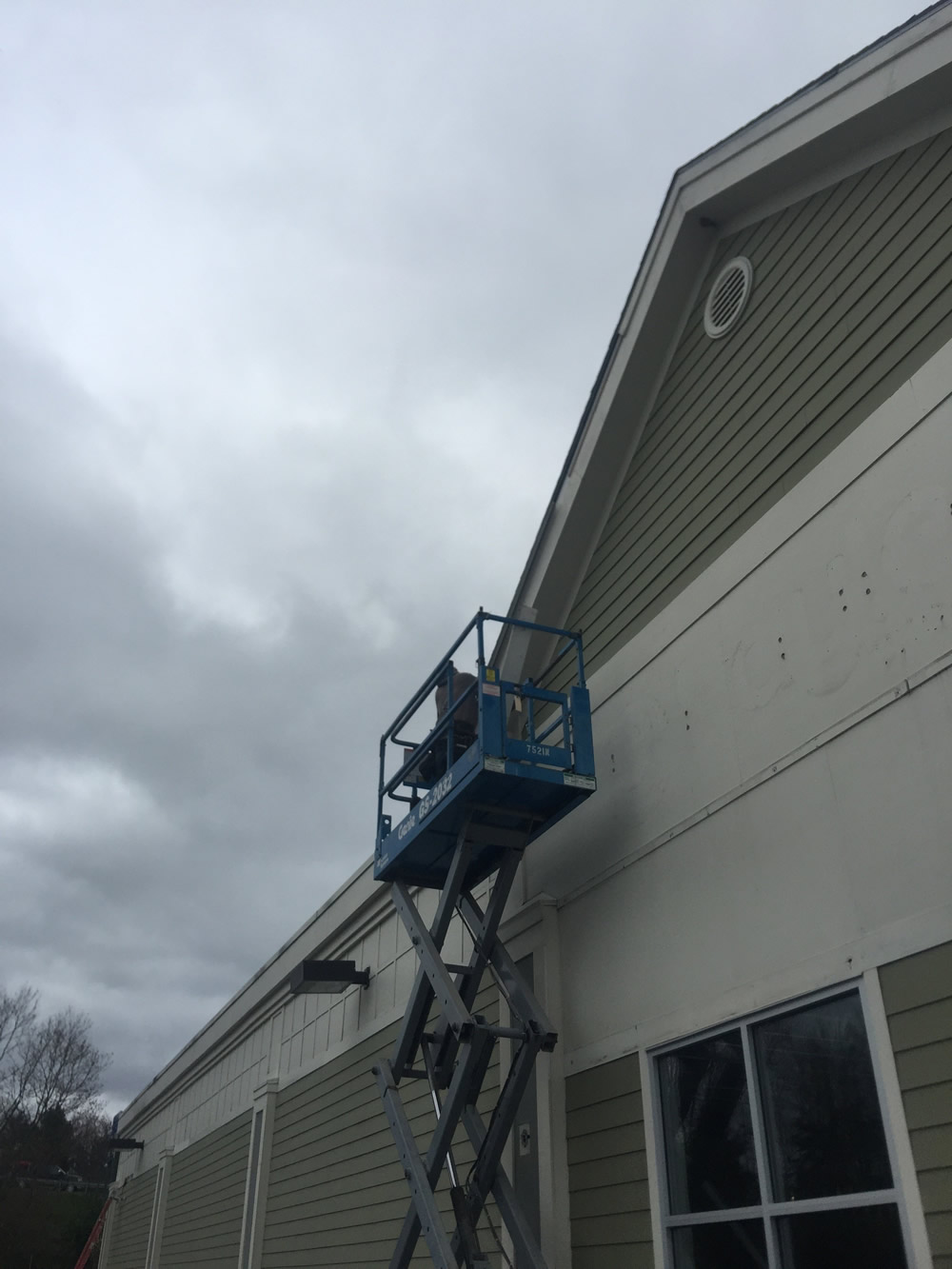 Exterior commercial painting of Wild Buffalo Wings restaurant.